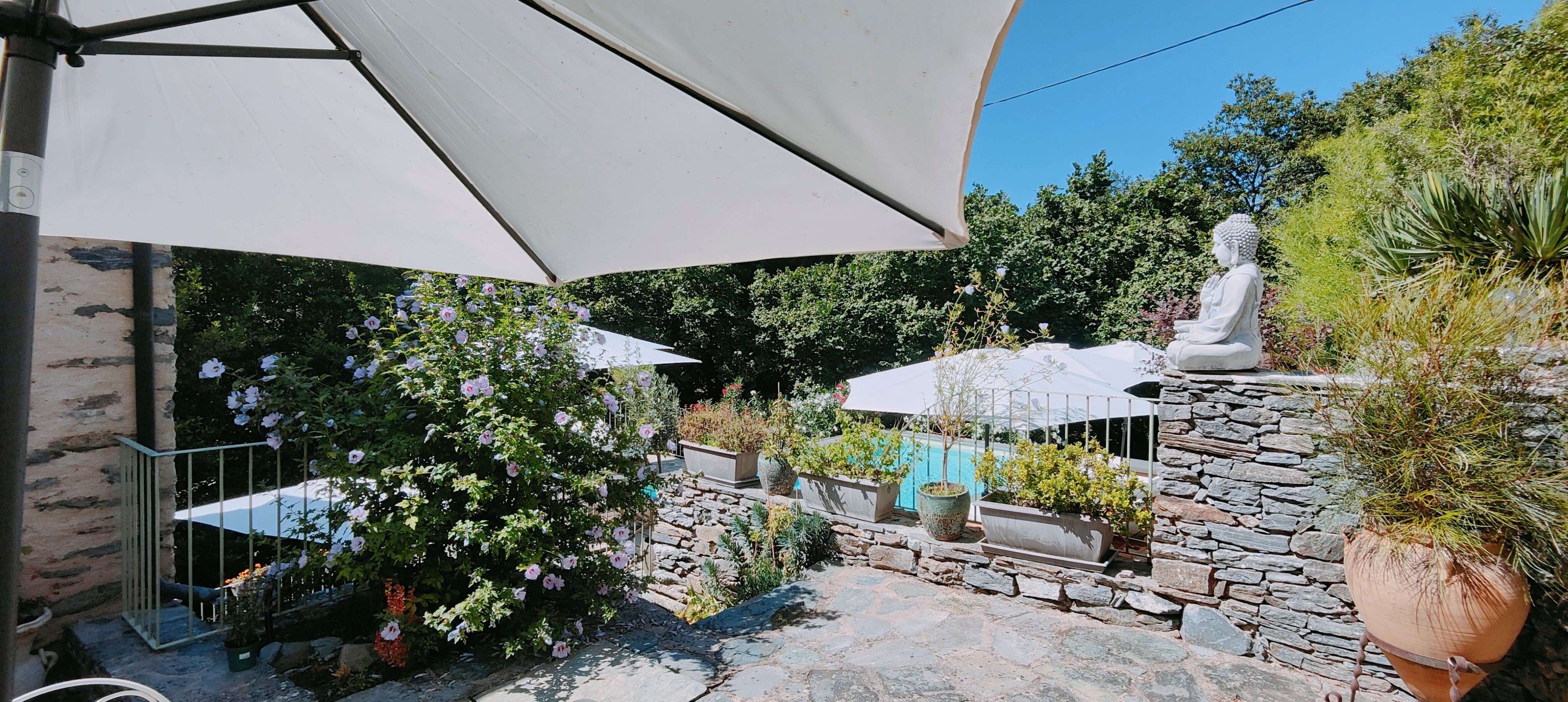 Terrasse avec vue piscine Gîte U Vecchju mulinu